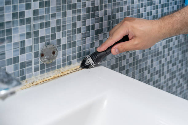 Reliable Perry Hall, MD Mold Removal Solutions
