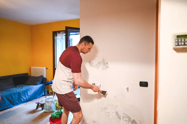 Office Mold Removal Services in Perry Hall, MD